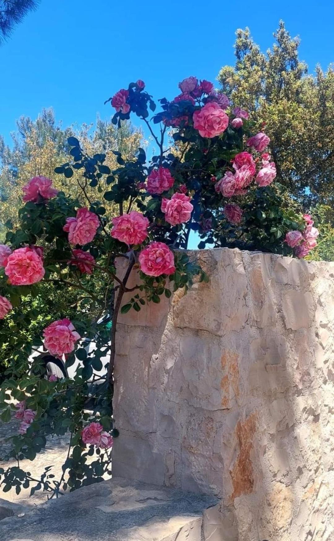 Il Trullo Delle Rose, Monopoli By Il Pumo Di Puglia Villa Cozzana Ngoại thất bức ảnh