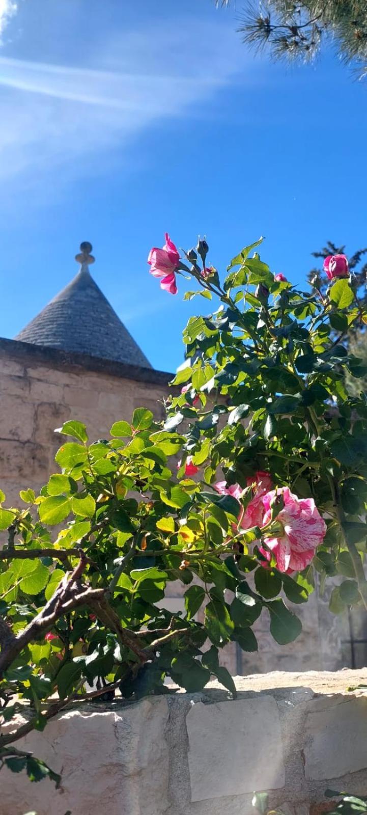 Il Trullo Delle Rose, Monopoli By Il Pumo Di Puglia Villa Cozzana Ngoại thất bức ảnh