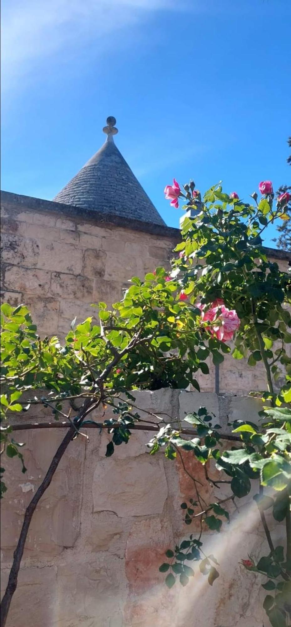 Il Trullo Delle Rose, Monopoli By Il Pumo Di Puglia Villa Cozzana Ngoại thất bức ảnh
